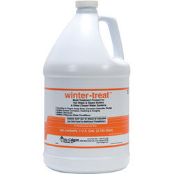 WINTER TREAT        4) - 